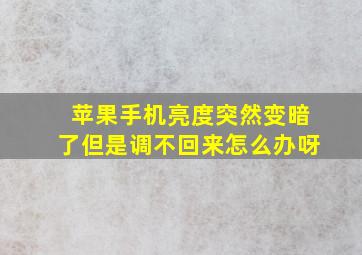 苹果手机亮度突然变暗了但是调不回来怎么办呀