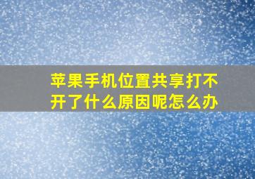 苹果手机位置共享打不开了什么原因呢怎么办