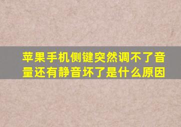 苹果手机侧键突然调不了音量还有静音坏了是什么原因