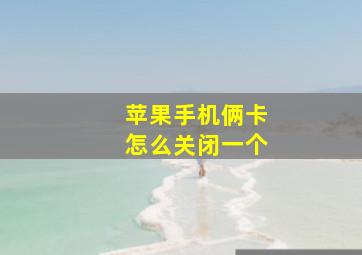 苹果手机俩卡怎么关闭一个