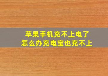 苹果手机充不上电了怎么办充电宝也充不上