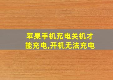 苹果手机充电关机才能充电,开机无法充电