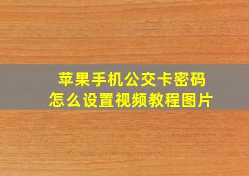 苹果手机公交卡密码怎么设置视频教程图片