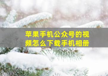 苹果手机公众号的视频怎么下载手机相册