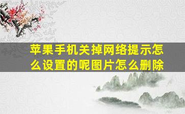 苹果手机关掉网络提示怎么设置的呢图片怎么删除