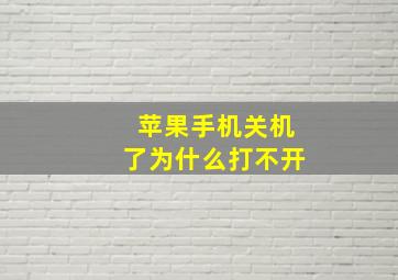 苹果手机关机了为什么打不开