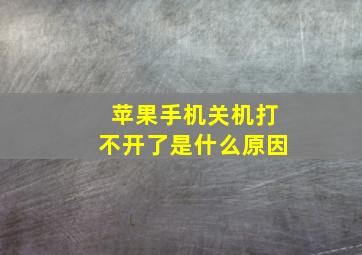 苹果手机关机打不开了是什么原因