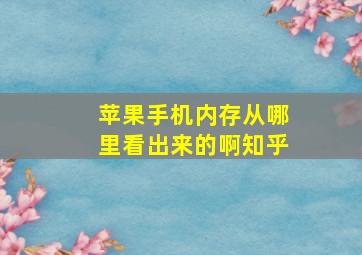 苹果手机内存从哪里看出来的啊知乎