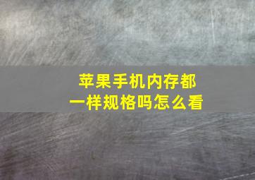 苹果手机内存都一样规格吗怎么看