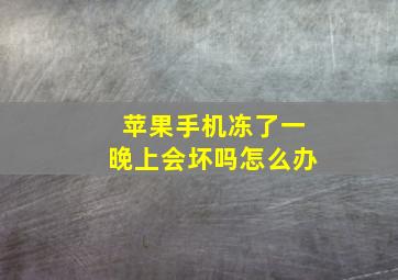 苹果手机冻了一晚上会坏吗怎么办