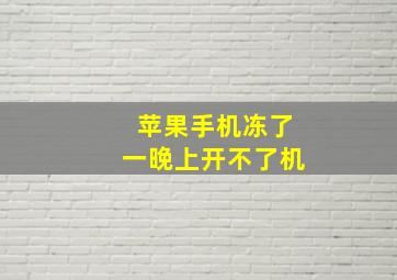 苹果手机冻了一晚上开不了机