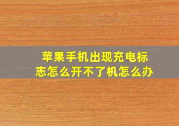 苹果手机出现充电标志怎么开不了机怎么办