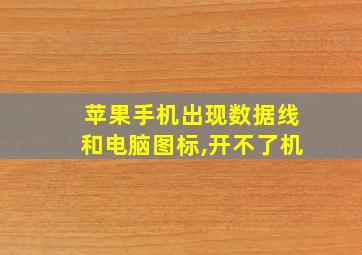 苹果手机出现数据线和电脑图标,开不了机