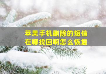 苹果手机删除的短信在哪找回啊怎么恢复