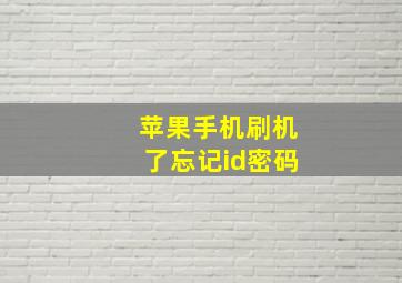 苹果手机刷机了忘记id密码