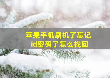 苹果手机刷机了忘记id密码了怎么找回