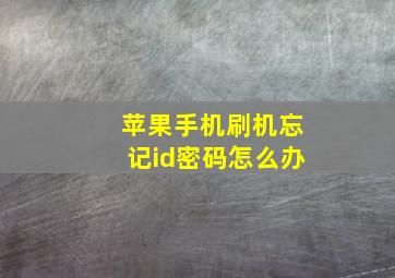 苹果手机刷机忘记id密码怎么办