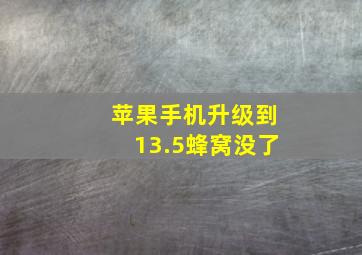 苹果手机升级到13.5蜂窝没了