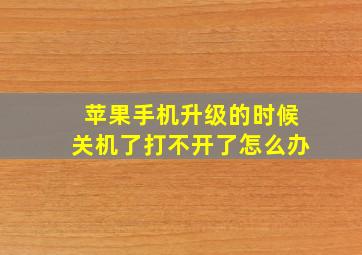 苹果手机升级的时候关机了打不开了怎么办