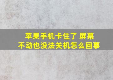 苹果手机卡住了 屏幕不动也没法关机怎么回事