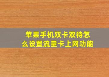 苹果手机双卡双待怎么设置流量卡上网功能