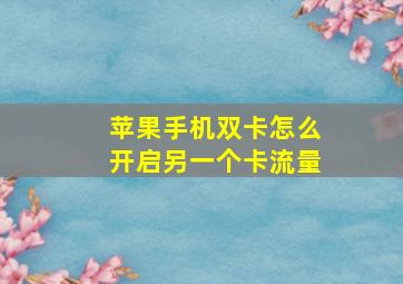 苹果手机双卡怎么开启另一个卡流量