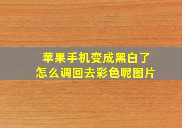 苹果手机变成黑白了怎么调回去彩色呢图片