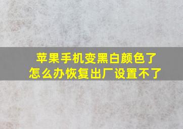 苹果手机变黑白颜色了怎么办恢复出厂设置不了