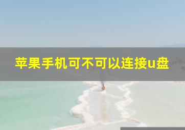 苹果手机可不可以连接u盘