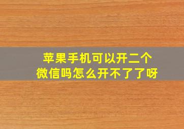 苹果手机可以开二个微信吗怎么开不了了呀