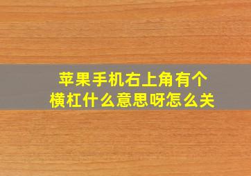 苹果手机右上角有个横杠什么意思呀怎么关