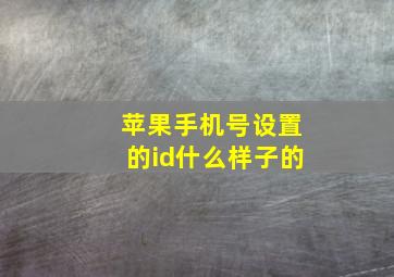 苹果手机号设置的id什么样子的