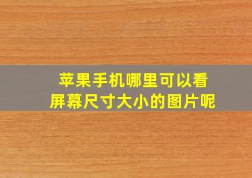 苹果手机哪里可以看屏幕尺寸大小的图片呢