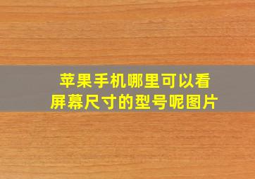 苹果手机哪里可以看屏幕尺寸的型号呢图片