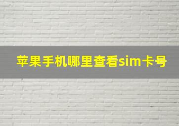 苹果手机哪里查看sim卡号