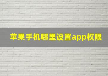 苹果手机哪里设置app权限