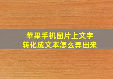 苹果手机图片上文字转化成文本怎么弄出来