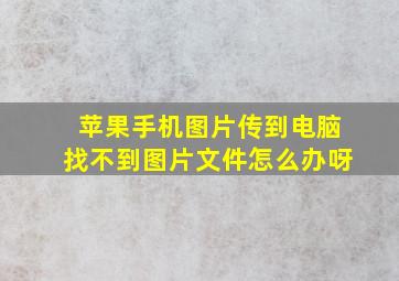 苹果手机图片传到电脑找不到图片文件怎么办呀