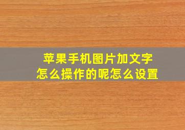 苹果手机图片加文字怎么操作的呢怎么设置