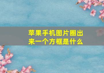 苹果手机图片圈出来一个方框是什么