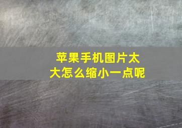 苹果手机图片太大怎么缩小一点呢