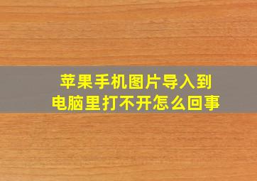 苹果手机图片导入到电脑里打不开怎么回事