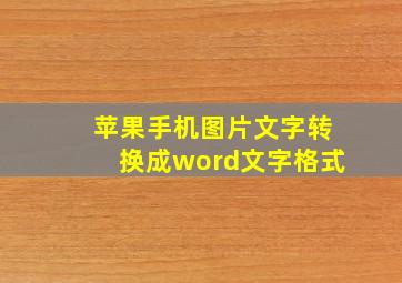 苹果手机图片文字转换成word文字格式