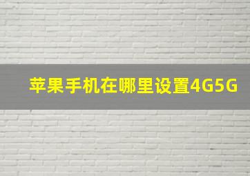 苹果手机在哪里设置4G5G