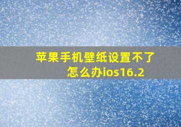 苹果手机壁纸设置不了怎么办ios16.2