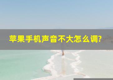 苹果手机声音不大怎么调?