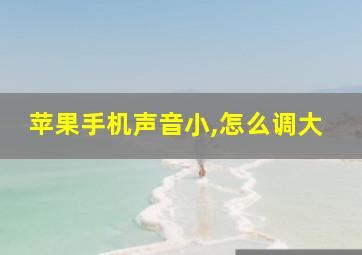 苹果手机声音小,怎么调大