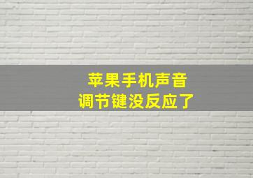 苹果手机声音调节键没反应了