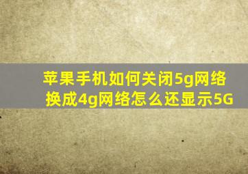 苹果手机如何关闭5g网络换成4g网络怎么还显示5G