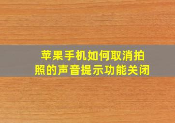 苹果手机如何取消拍照的声音提示功能关闭